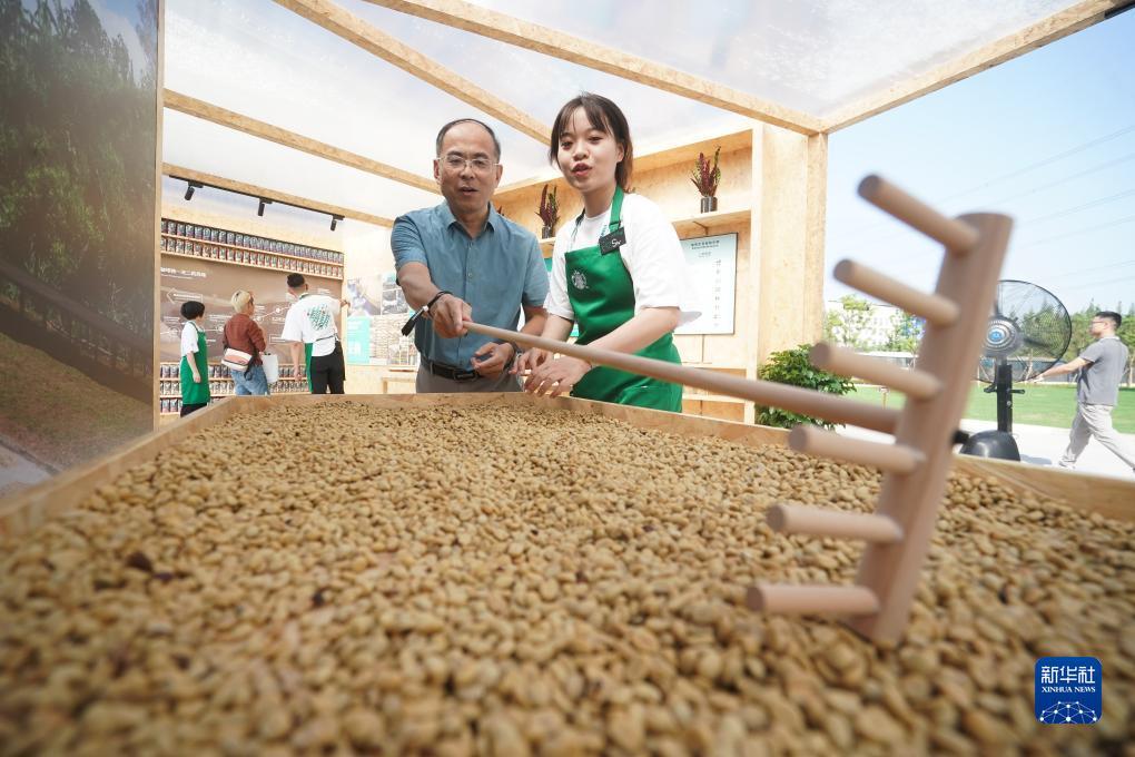 优德88官网网站